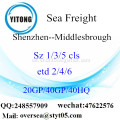 Shenzhen Port Seefracht Versand nach Middlesbrough